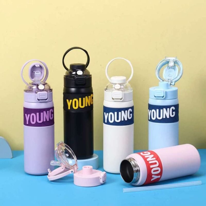 Garrafa Térmica YOUNG 650ml Inox